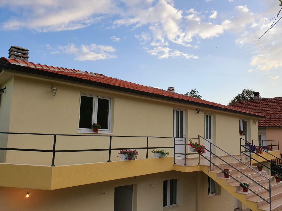 Apartments Kingfisher Virpazar Bagian luar foto